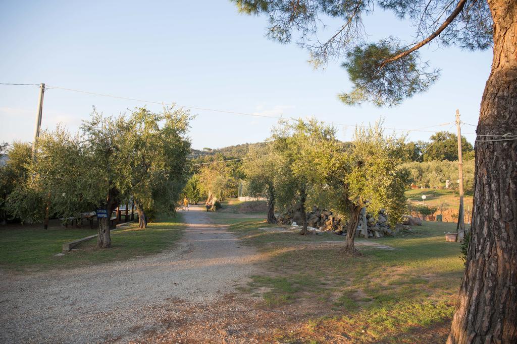 Agriturismo Poggetto Larciano Kültér fotó